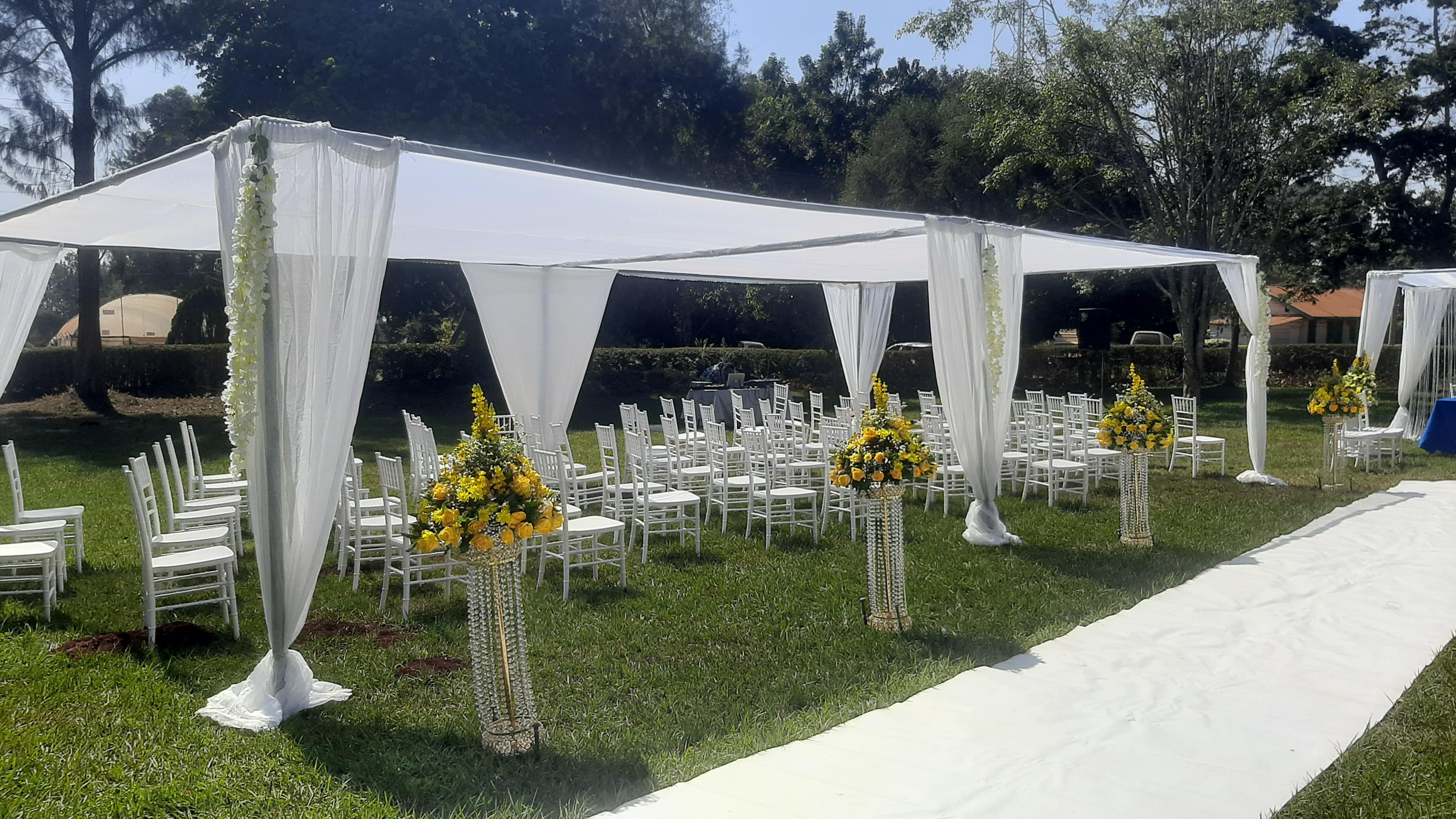 canopy